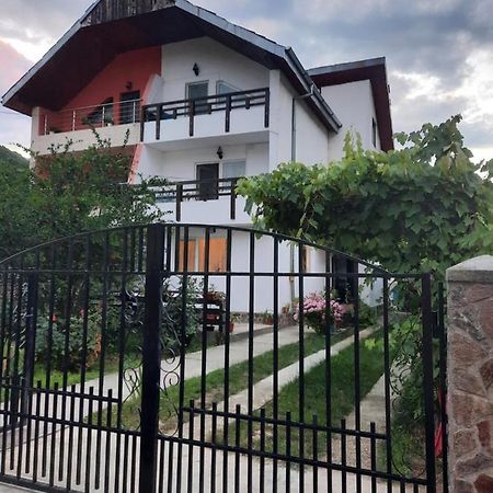 カリマネシュティ・カシウラタCasa Licaアパートメント エクステリア 写真