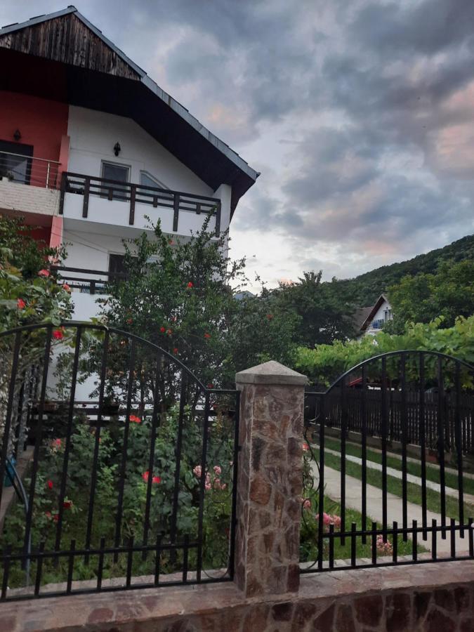 カリマネシュティ・カシウラタCasa Licaアパートメント エクステリア 写真