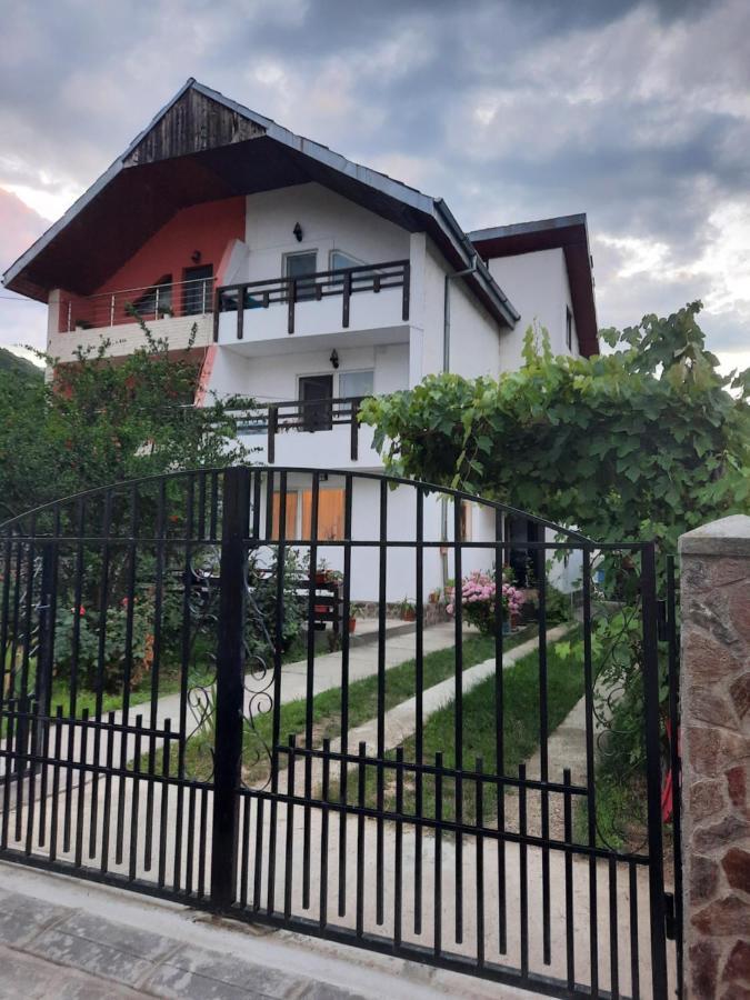 カリマネシュティ・カシウラタCasa Licaアパートメント エクステリア 写真