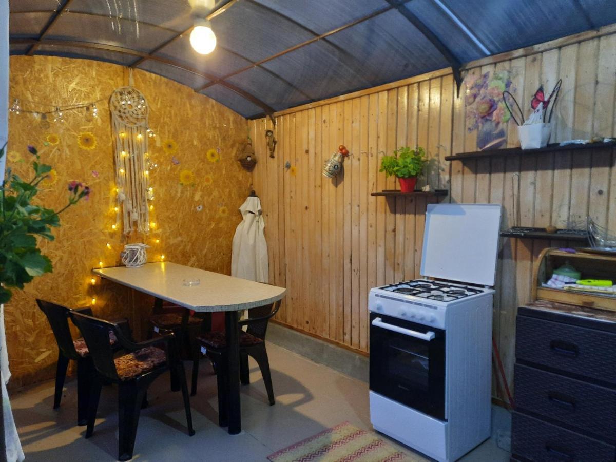 カリマネシュティ・カシウラタCasa Licaアパートメント エクステリア 写真